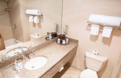 Ann Arbor Hotel | Ann Arbor Regent Hotel & Suites