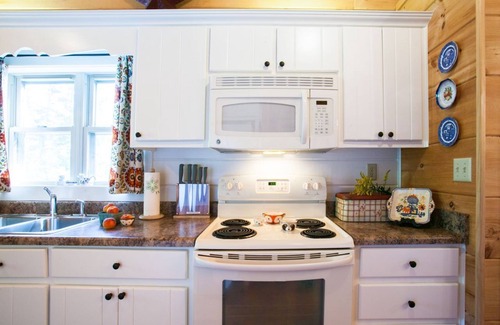Fairview Cabin | Annie's Cabin | Pet Friendly | Mountain View | Hot Tub | Fire Pit