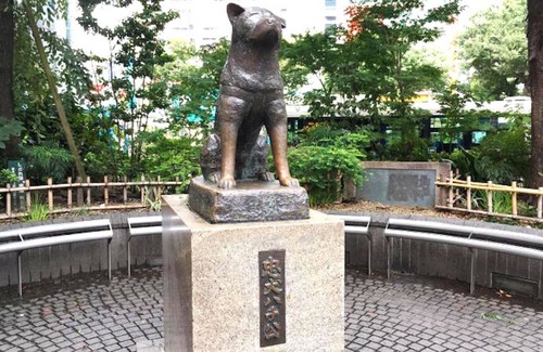 Higashi Apartment | Anon Shibuya A1018min4ppl - A101 / Shibuya-ku Tokyo