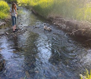 Durango Bed & Breakfast | Antlers on the Creek Bed & Breakfast