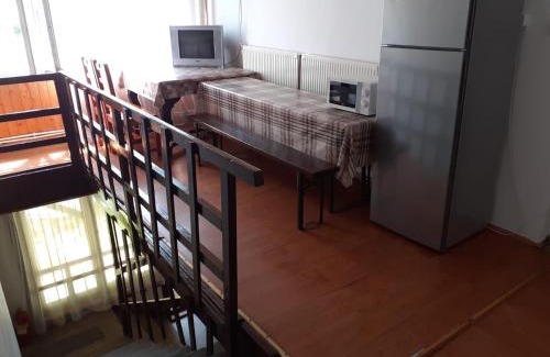 Baile Tusnad House | Antonia