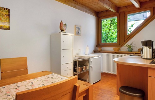 Feldberg Apartment | Apartment 'Fewo 1' with Wi-Fi
