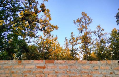 Ranchi House | Aparajita Home Stay
