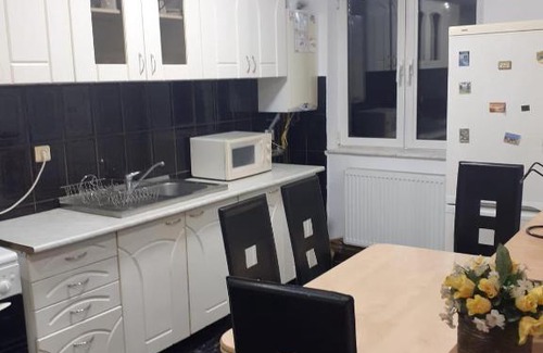 Emanoil Gojdu Apartment | Apartament 2 camere