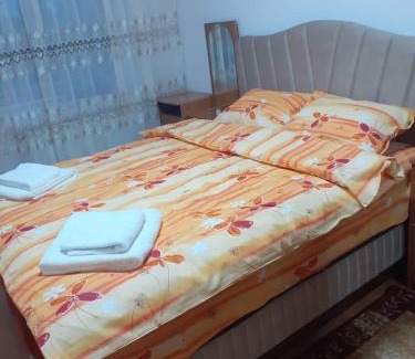 Emanoil Gojdu Apartment | Apartament 2 camere