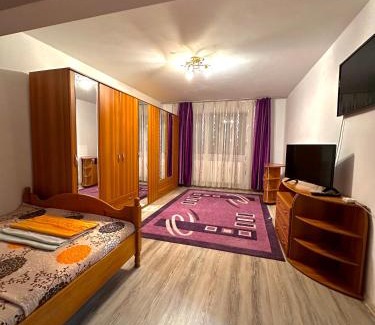 Baile Herculane Apartment | Apartament Băile Herculane