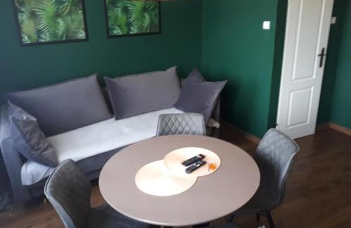 Zielona Gora Apartment | Apartament blisko centrum miasta