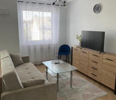 Pulawy Apartment | Apartament Czartoryskich House z miejscem postojowym w garażu podziemnym