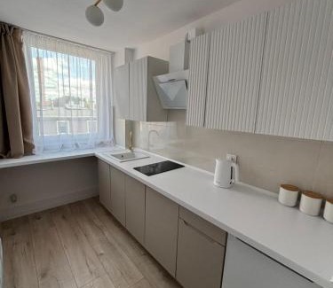 Mieroszow Apartment | Apartament Gold Rynek Mieroszów Wi-Fi, nc plus