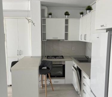 Ploiesti Apartment | Apartament in Ploiesti 1