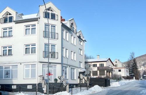 Ustrzyki Dolne Apartment | Apartament MT Badger Centrum