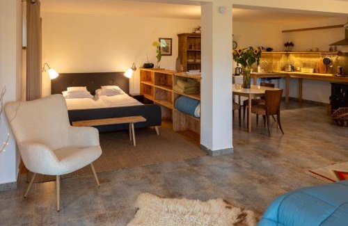 Bialy Dunajec Apartment | Apartament na Podhalu - WILLA TRZY OGONY