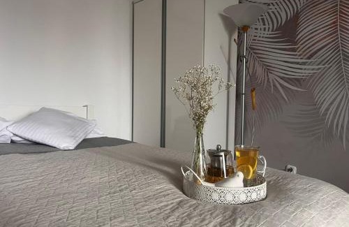 Pszczyna Apartment | Apartament Na Starówce VII