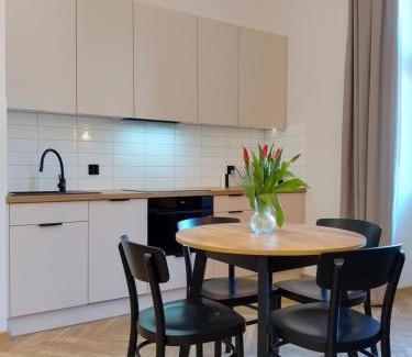 Plock Apartment | Apartament przy Ratuszu