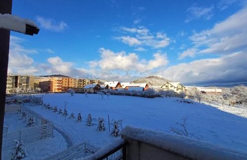 Zarnesti Apartment | Apartament Ramonte