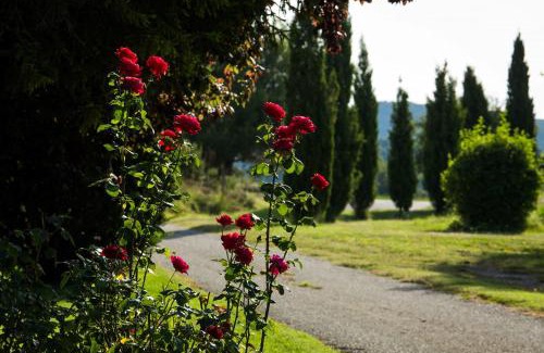 Lladurs House | Apartament Rural el Corral