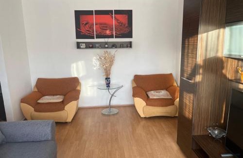 Emanoil Gojdu Apartment | Apartament Saraol