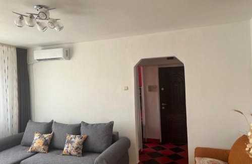 Emanoil Gojdu Apartment | Apartament Saraol
