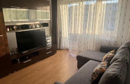 Emanoil Gojdu Apartment | Apartament Saraol