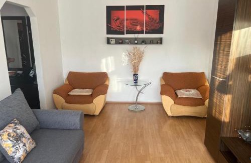Emanoil Gojdu Apartment | Apartament Saraol