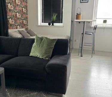Zabrze Apartment | Apartament Sobieskiego