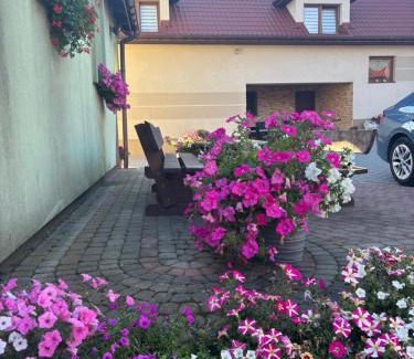 Krajno Pierwsze Apartment | Apartament u Moni