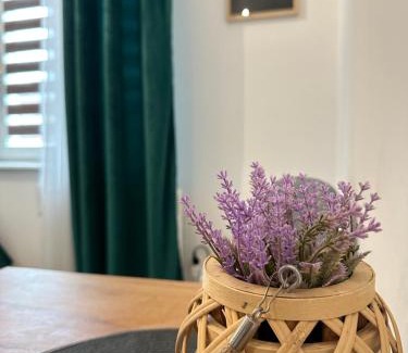 Tomaszow Mazowiecki Apartment | Apartament Zielony Kołłątaja