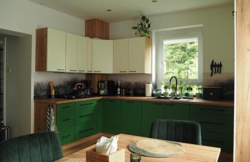Jedlina-Zdroj Apartment | Apartament ZIELONO MI 2