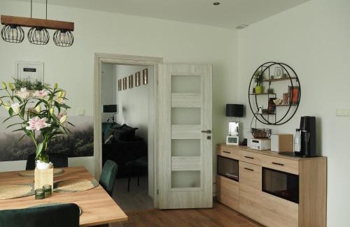 Jedlina-Zdroj Apartment | Apartament ZIELONO MI 2