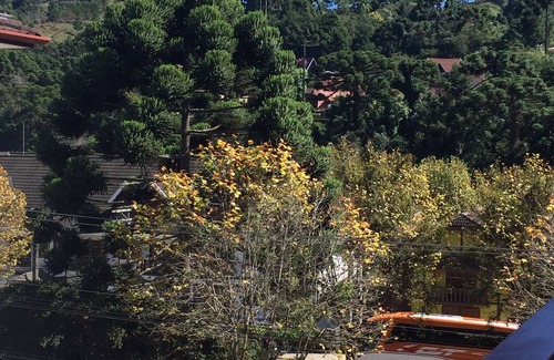 Vila Iara Apartment | Apartamento Aconchegante e Tranquilo na Montanha