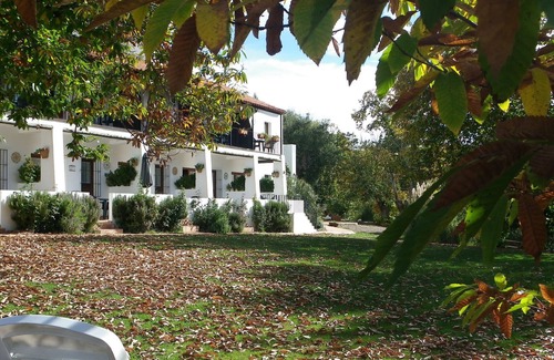 Aracena Apartment | Apartamento