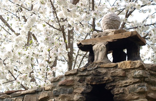 Gracionepel Apartment | Apartamento medio, lies in a stone house completely renovated with ecological