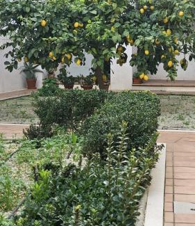 Santiago Apartment | Apartamento Menina San Pedro