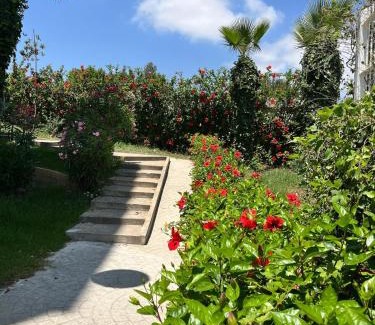 Residence Bab Sebta Apartment | Apartamento Vacacional