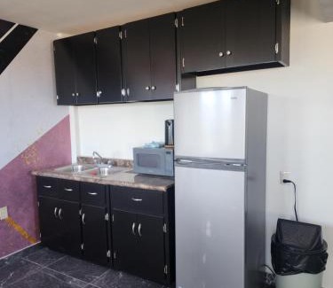 Guadalupe Victoria Apartment | Apartamentos Milenario