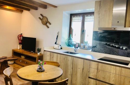 Orbaitzeta Apartment | Apartamentos Zabalarena Artzaia