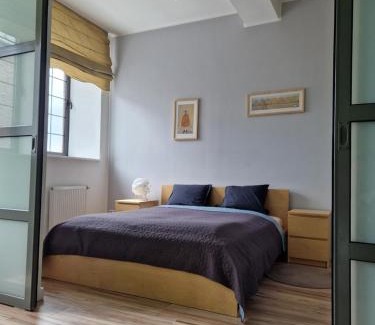 Wloclawek Apartment | Apartamenty „Lofty w piecowni”