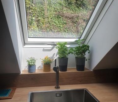 Cieszyn Apartment | Apartamenty Magiczna Wenecja