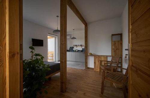 Busko-Zdroj Apartment | Apartamenty Ponidzie