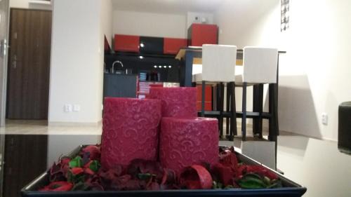 Zielona Gora Apartment | Apartamenty Viniarnia
