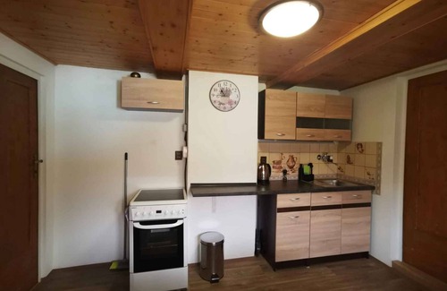 Martinkovice Condo | Apartement with billiard