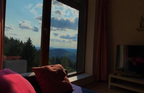 Rokytnice nad Jizerou Apartment | Apartmán Švadlenka