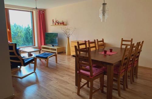 Rokytnice nad Jizerou Apartment | Apartmán Švadlenka