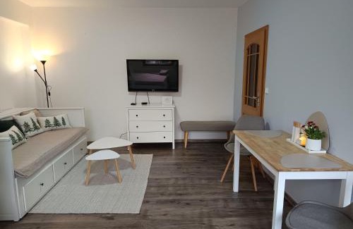 Jachymov Apartment | Apartmán 29 LANOVKA