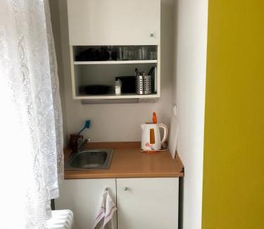 Luhacovice House | Apartmán B Luhačovice