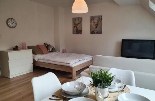 Mikulov v Krusnych Horach Apartment | Apartmány Břachovna