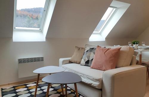 Mikulov v Krusnych Horach Apartment | Apartmány Břachovna