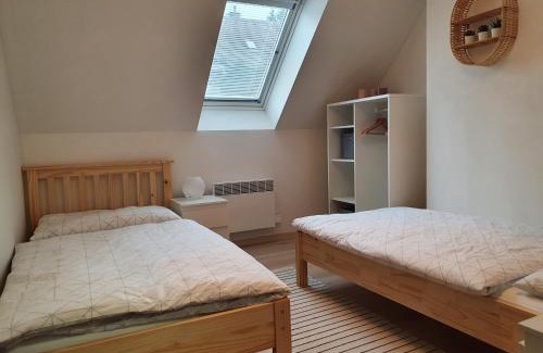 Mikulov v Krusnych Horach Apartment | Apartmány Břachovna