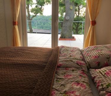Zdiby Apartment | Apartmán - D - Vyhlídka nad řekou