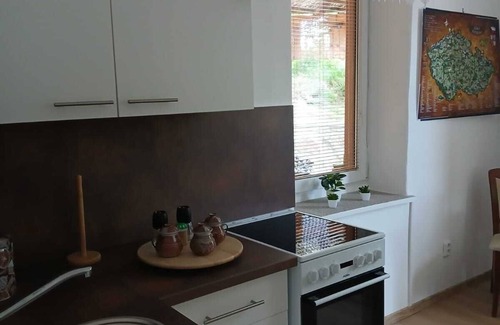 Dolni Poustevna Apartment | Apartmán Janoli